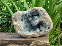 Natural XL Blue Celestite Geode Specimen x 1 From Sakoany, Madagascar