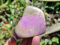 Polished Stichtite Free Forms x 6 From Barberton, South Africa
