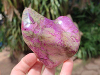 Polished Stichtite Free Forms x 6 From Barberton, South Africa