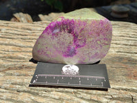 Polished Stichtite Free Forms x 6 From Barberton, South Africa