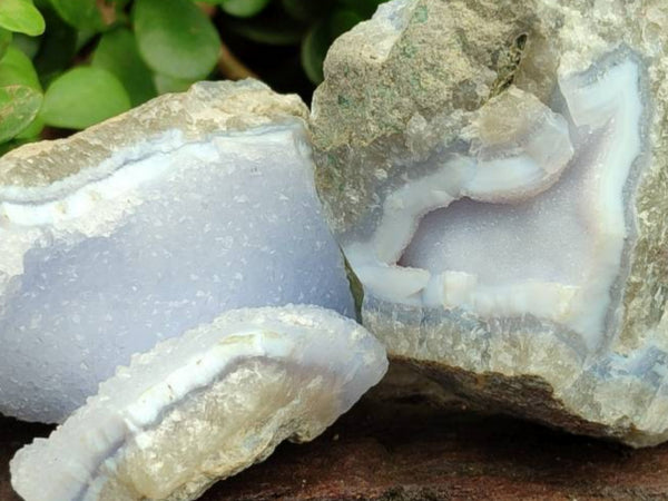 Natural Blue Lace Agate Geode Specimens x 12 From Nsanje, Malawi