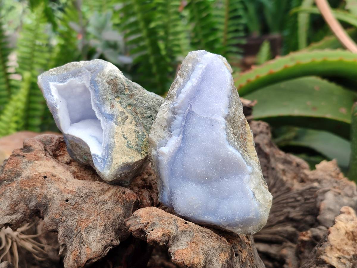 Natural Blue Lace Agate Geode Specimens x 12 From Nsanje, Malawi - Toprock Gemstones and Minerals 