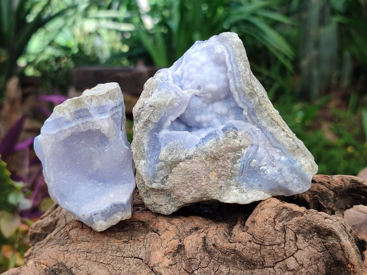 Natural Blue Lace Agate Geode Specimens x 12 From Nsanje, Malawi - Toprock Gemstones and Minerals 