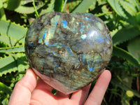 Polished Labradorite Hearts x 2 From Tulear, Madagascar