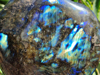 Polished Labradorite Hearts x 2 From Tulear, Madagascar