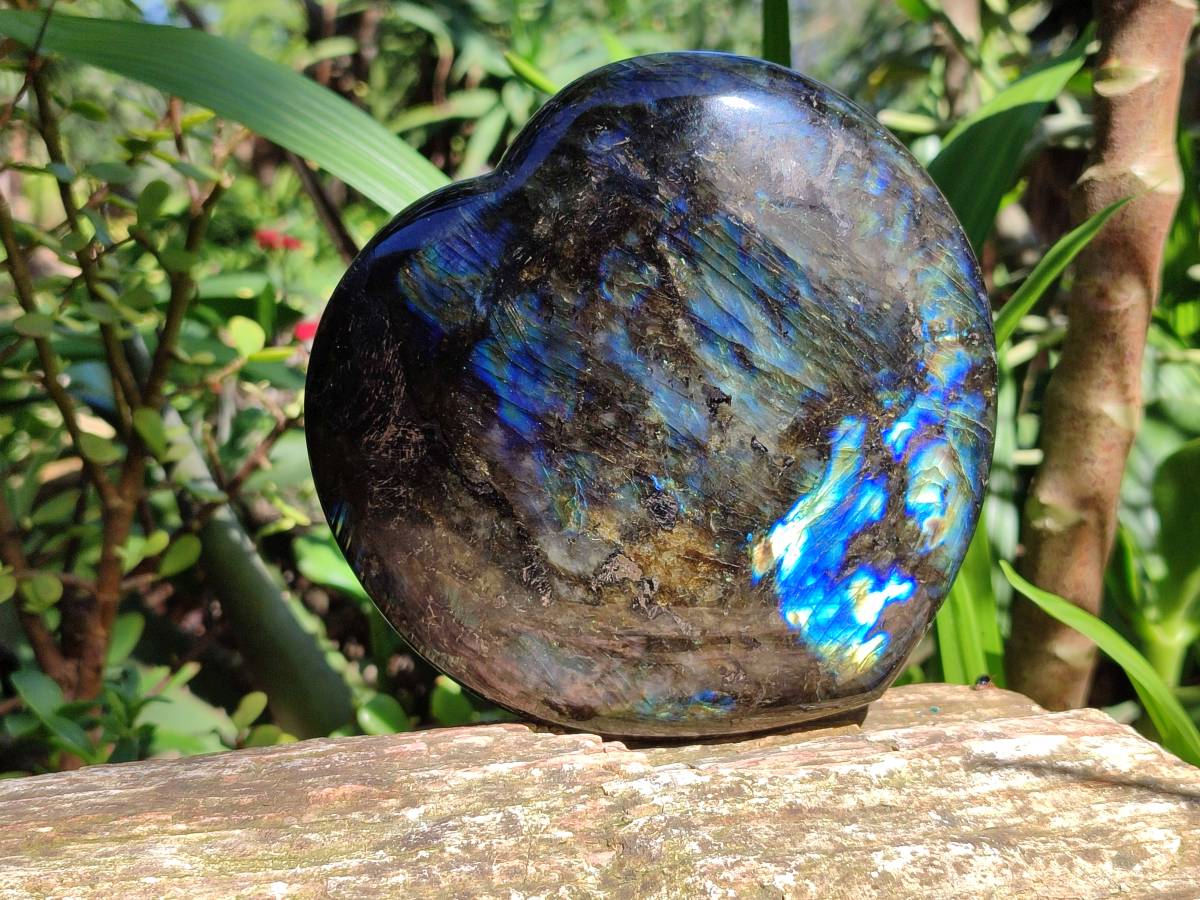 Polished Labradorite Hearts x 2 From Tulear, Madagascar - Toprock Gemstones and Minerals 