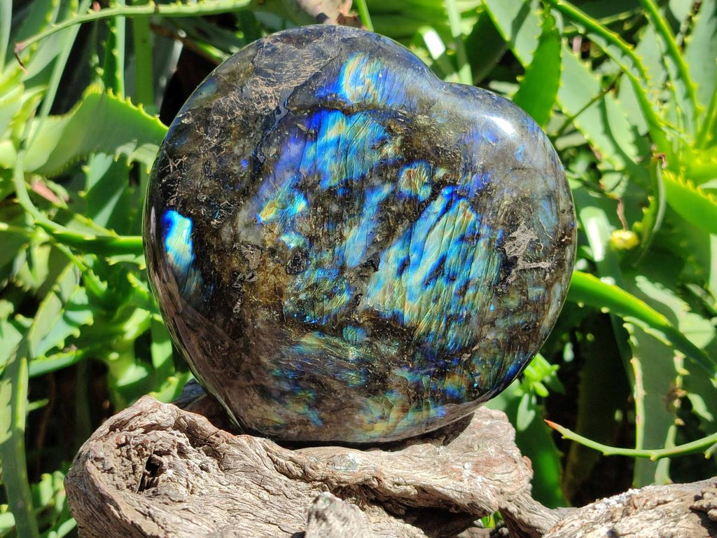 Polished Labradorite Hearts x 2 From Tulear, Madagascar - Toprock Gemstones and Minerals 