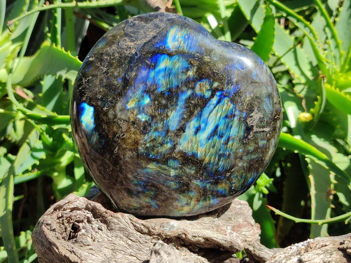 Polished Labradorite Hearts x 2 From Tulear, Madagascar - Toprock Gemstones and Minerals 