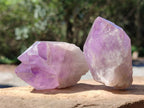 Natural Jacaranda Amethyst Quartz Crystals x 12 From Mumbwa, Zambia - Toprock Gemstones and Minerals 