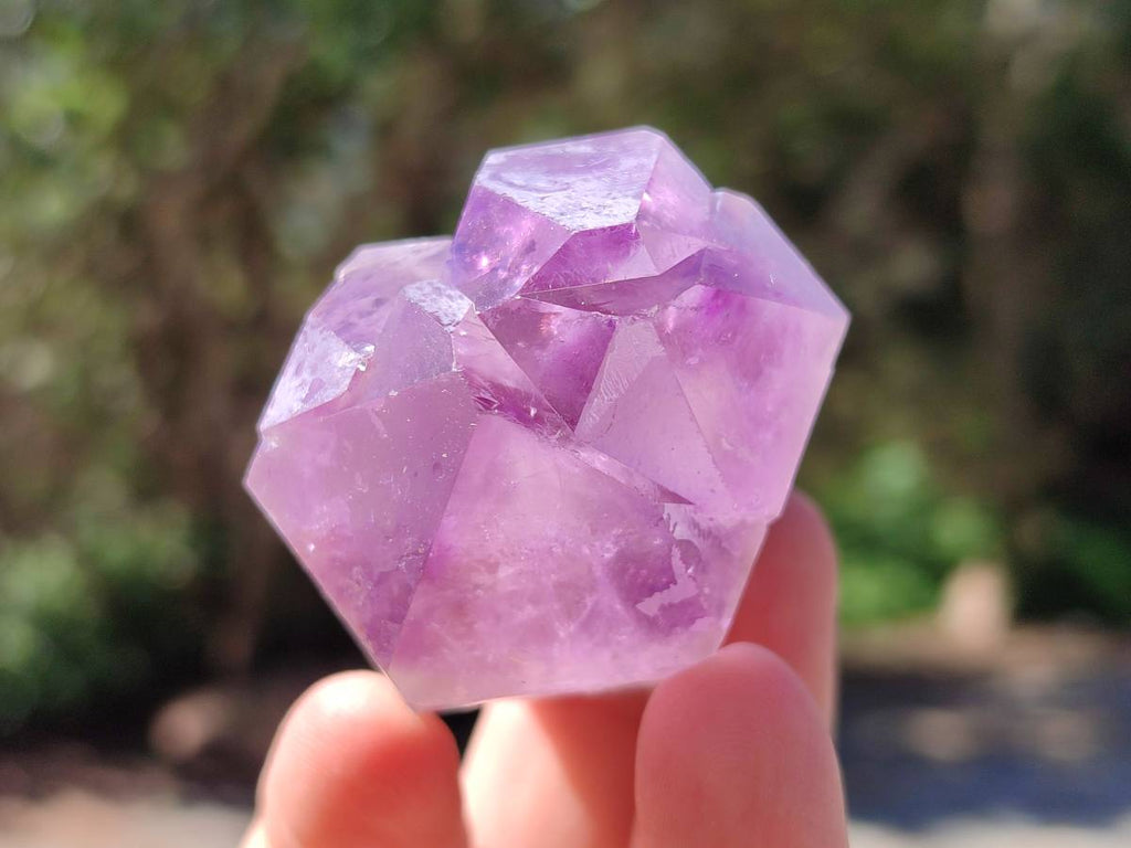 Natural Jacaranda Amethyst Quartz Crystals x 12 From Mumbwa, Zambia - Toprock Gemstones and Minerals 