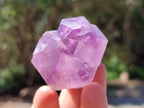 Natural Jacaranda Amethyst Quartz Crystals x 12 From Mumbwa, Zambia - Toprock Gemstones and Minerals 