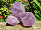 Natural Jacaranda Amethyst Quartz Crystals x 12 From Mumbwa, Zambia - Toprock Gemstones and Minerals 