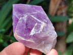 Natural Jacaranda Amethyst Quartz Crystals x 12 From Mumbwa, Zambia - Toprock Gemstones and Minerals 