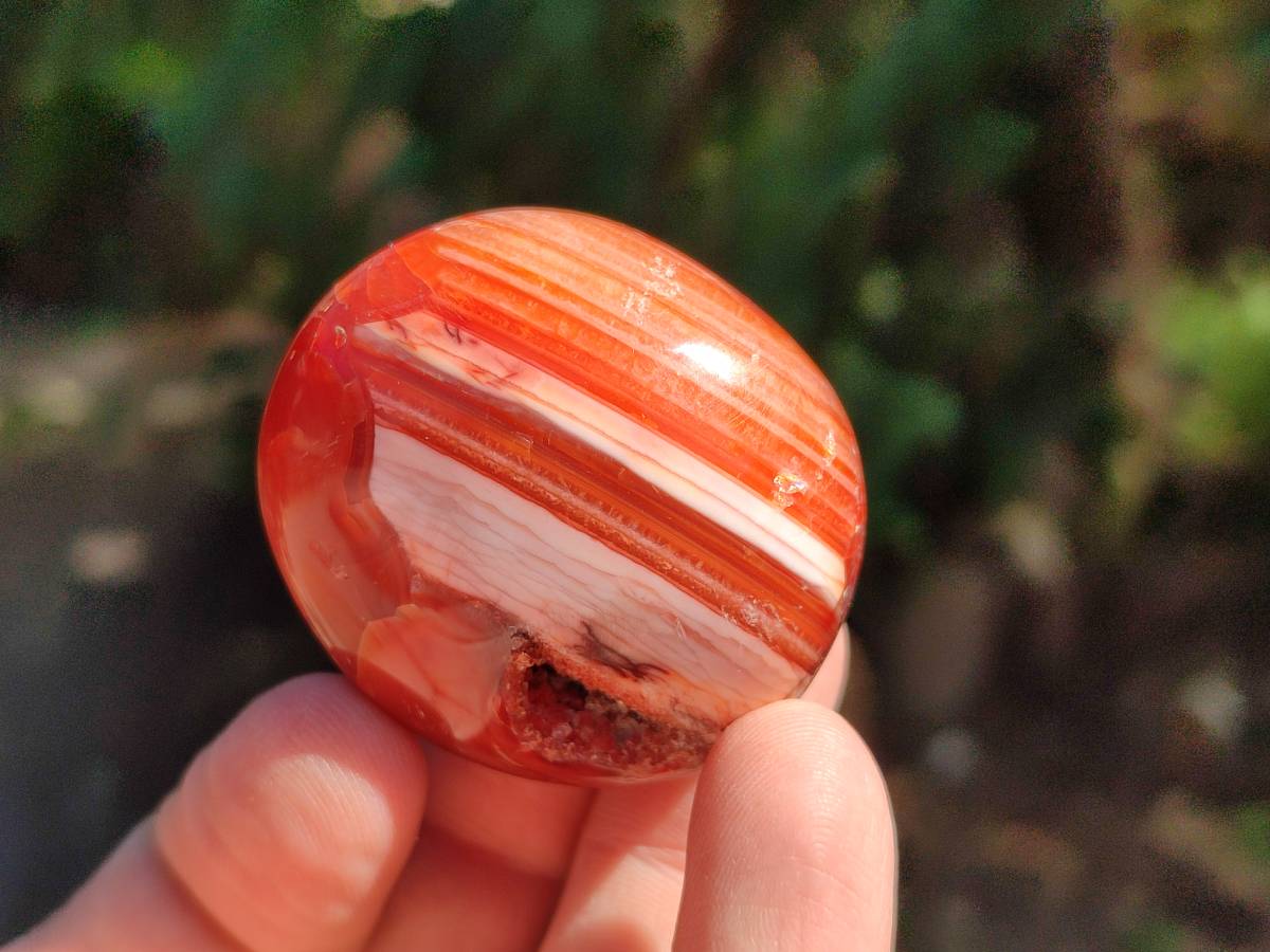 Polished Carnelian Agate Gemstone Galets x 35 From Madagascar - Toprock Gemstones and Minerals 