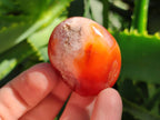 Polished Carnelian Agate Gemstone Galets x 35 From Madagascar - Toprock Gemstones and Minerals 