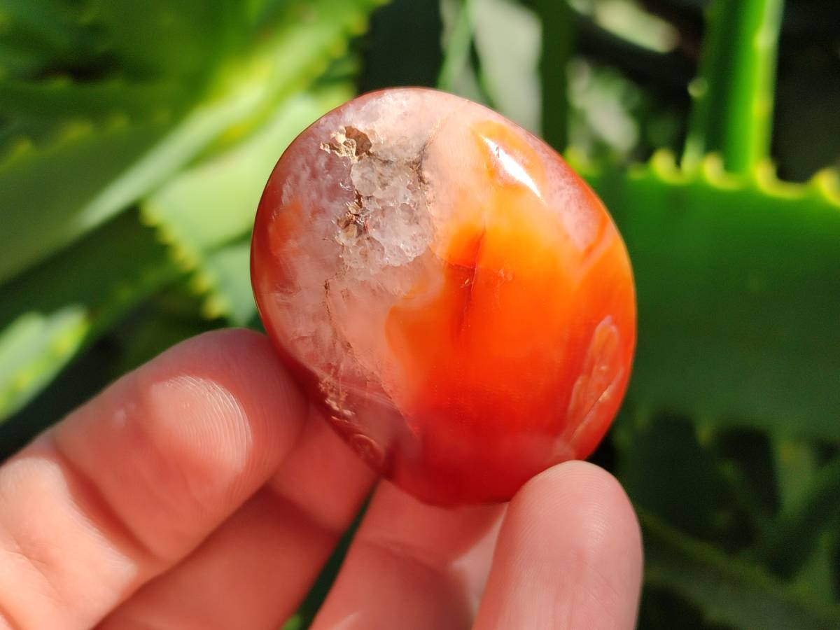 Polished Carnelian Agate Gemstone Galets x 35 From Madagascar - Toprock Gemstones and Minerals 