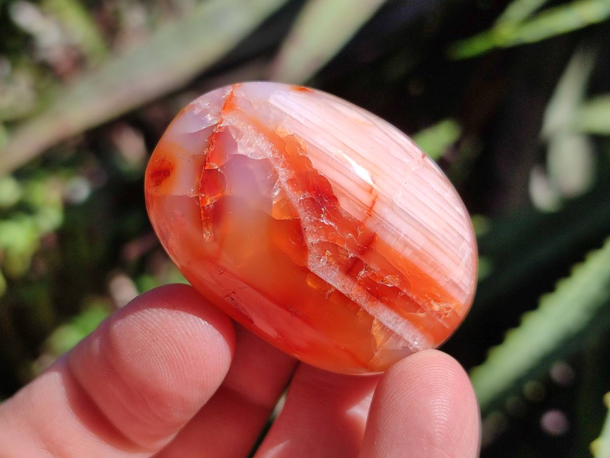 Polished Carnelian Agate Gemstone Galets x 35 From Madagascar - Toprock Gemstones and Minerals 