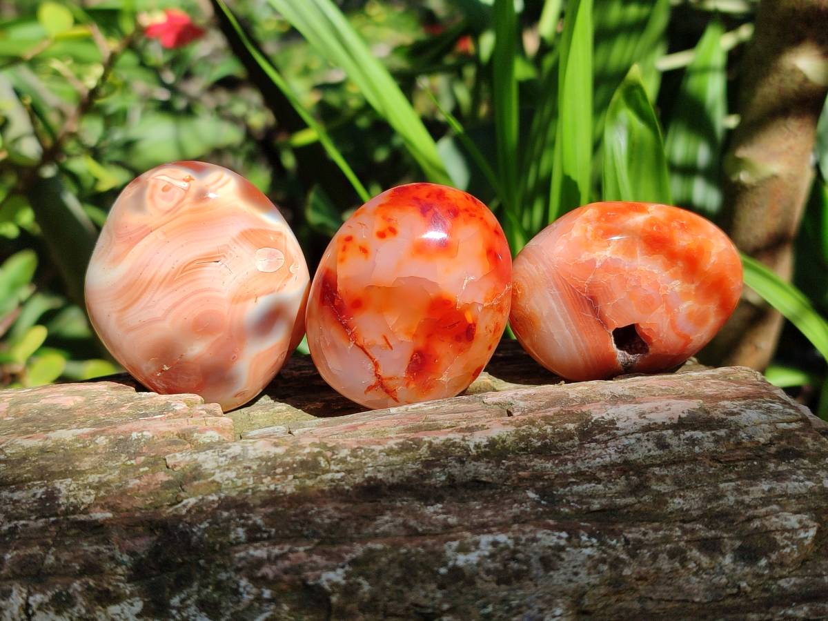 Polished Carnelian Agate Gemstone Galets x 35 From Madagascar - Toprock Gemstones and Minerals 