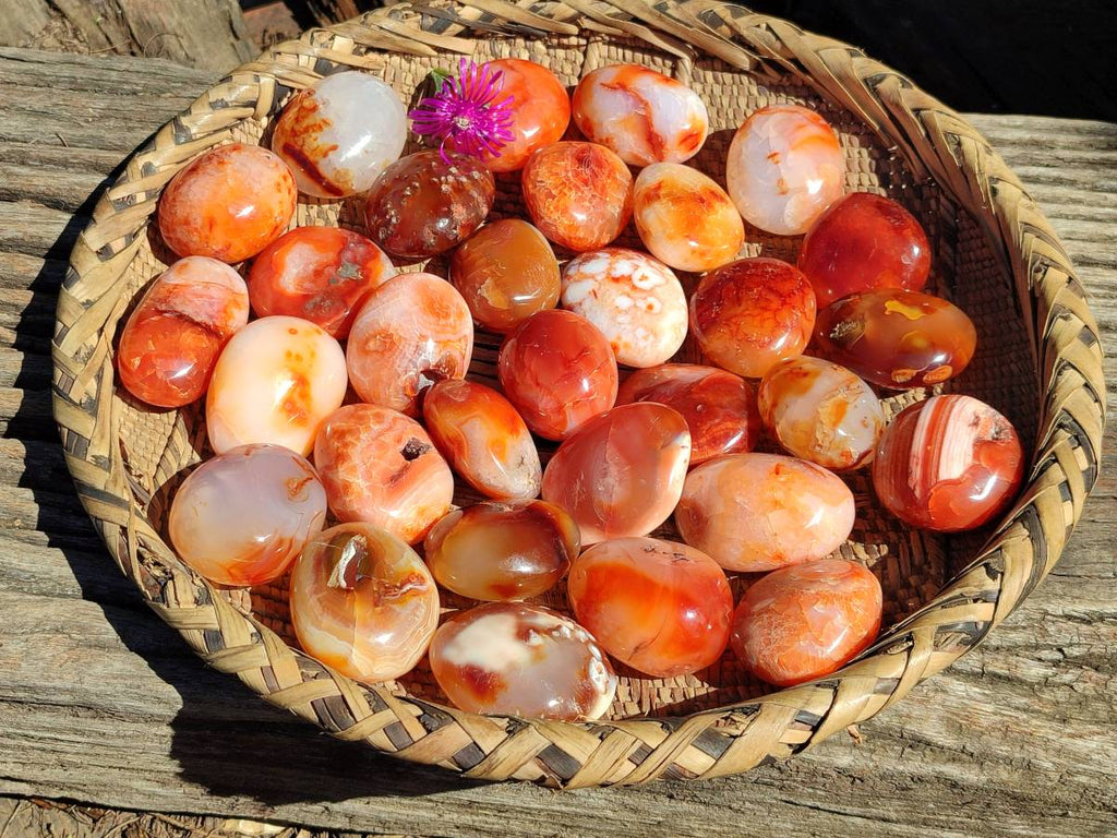 Polished Carnelian Agate Gemstone Galets x 35 From Madagascar - Toprock Gemstones and Minerals 