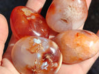 Polished Carnelian Agate Gemstone Galets x 35 From Madagascar - Toprock Gemstones and Minerals 