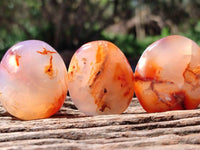 Polished Carnelian Agate Gemstone Galets x 35 From Madagascar
