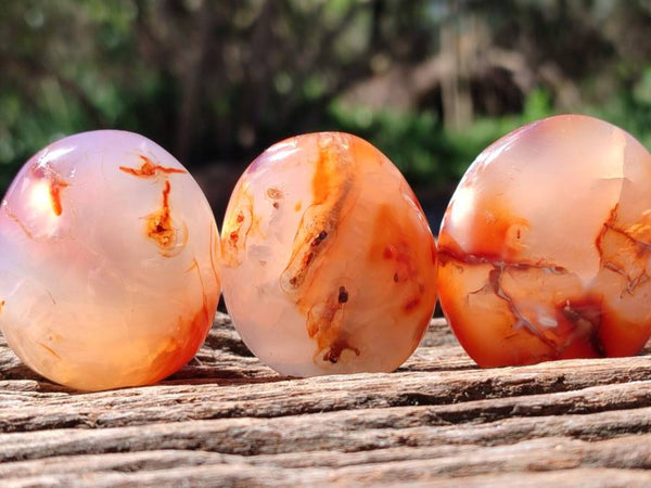 Polished Carnelian Agate Gemstone Galets x 35 From Madagascar