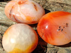 Polished Carnelian Agate Gemstone Galets x 35 From Madagascar - Toprock Gemstones and Minerals 