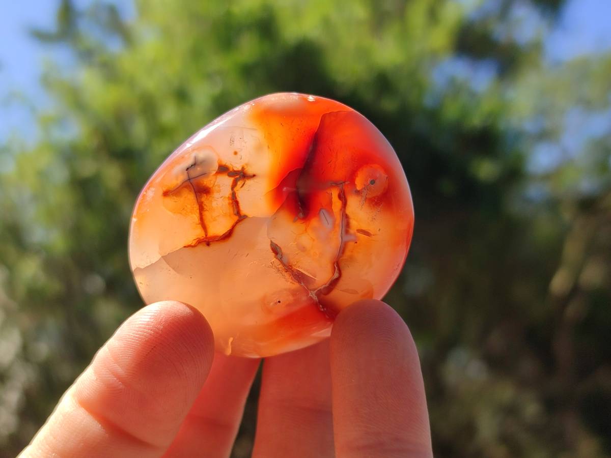 Polished Carnelian Agate Gemstone Galets x 35 From Madagascar - Toprock Gemstones and Minerals 