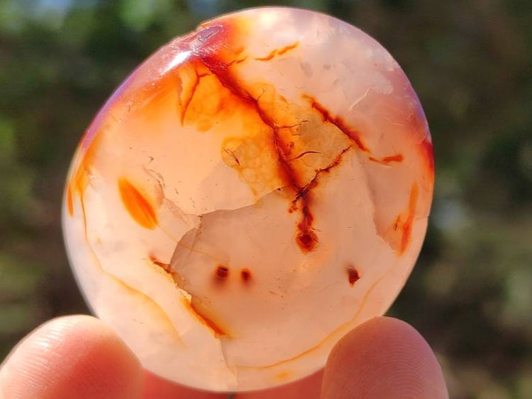 Polished Carnelian Agate Gemstone Galets x 35 From Madagascar - Toprock Gemstones and Minerals 