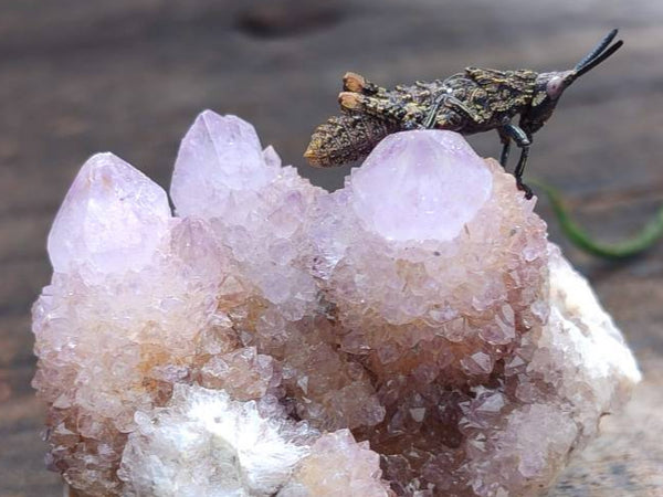 Natural Amethyst Spirit Quartz Crystals And Clusters x 20 From Boekenhouthoek, South Africa