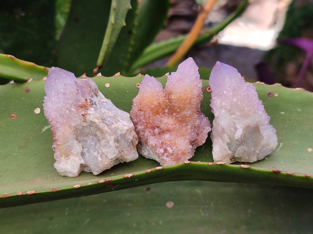 Natural Amethyst Spirit Quartz Crystals And Clusters x 20 From Boekenhouthoek, South Africa - Toprock Gemstones and Minerals 