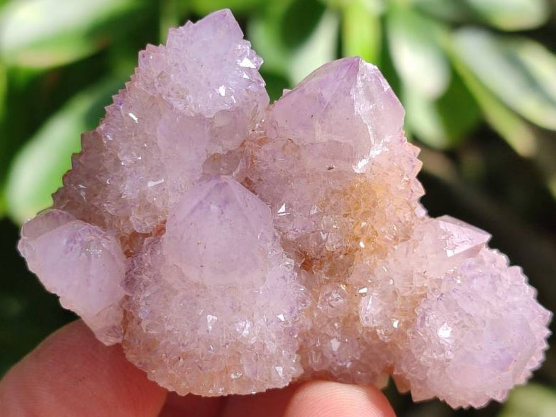 Natural Amethyst Spirit Quartz Crystals And Clusters x 20 From Boekenhouthoek, South Africa - Toprock Gemstones and Minerals 