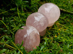 Polished Large Rose Quartz Mushrooms x 3 From Madagascar - Toprock Gemstones and Minerals 
