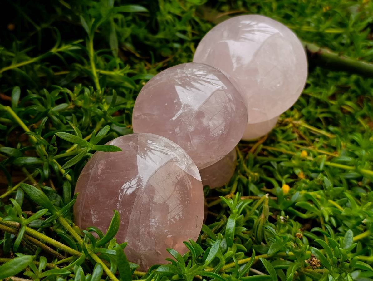 Polished Large Rose Quartz Mushrooms x 3 From Madagascar - Toprock Gemstones and Minerals 