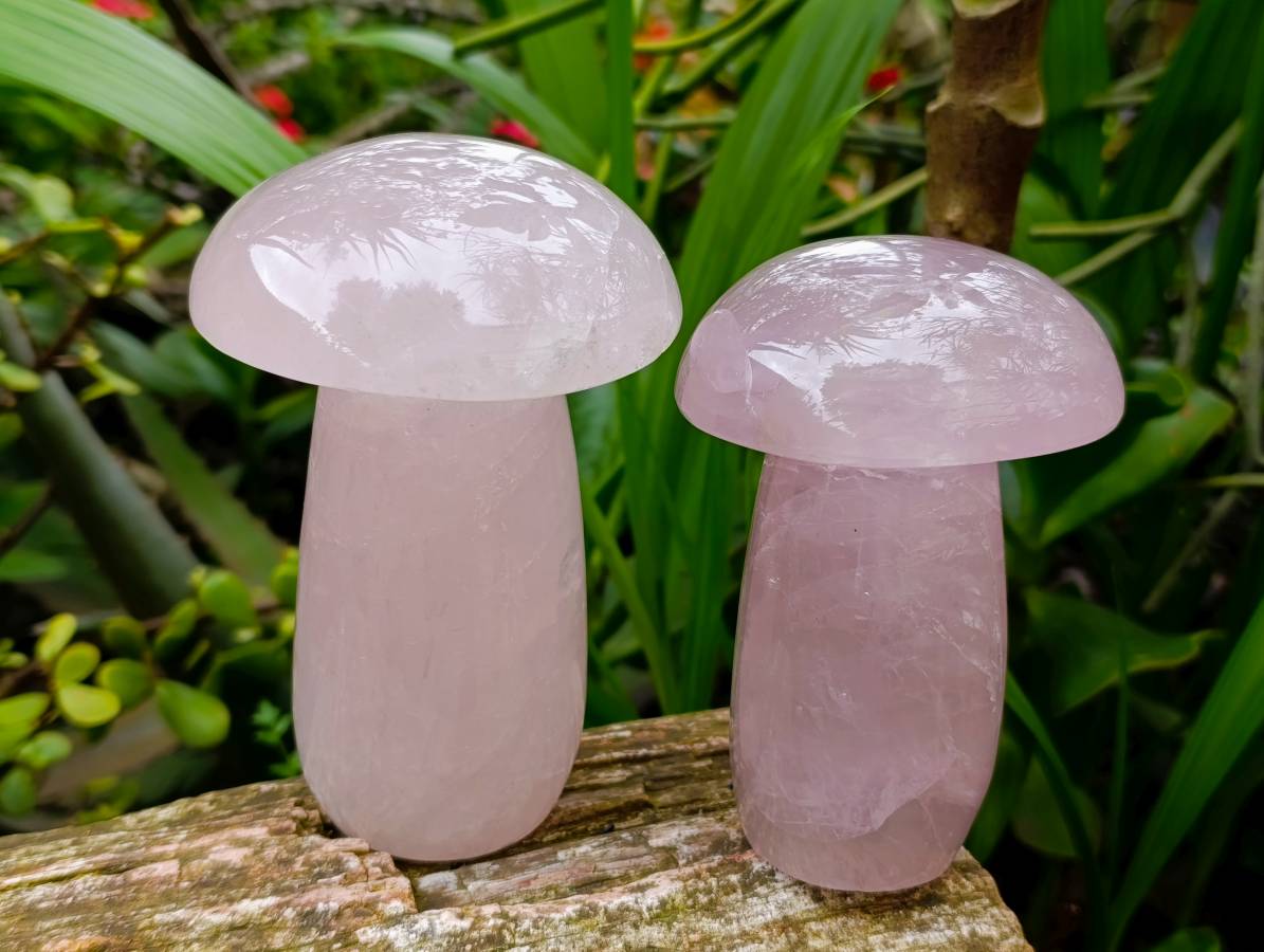 Polished Large Rose Quartz Mushrooms x 3 From Madagascar - Toprock Gemstones and Minerals 