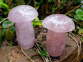 Polished Large Rose Quartz Mushrooms x 3 From Madagascar - Toprock Gemstones and Minerals 