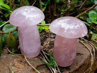 Polished Large Rose Quartz Mushrooms x 3 From Madagascar