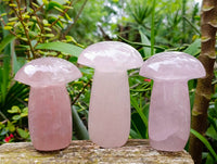 Polished Large Rose Quartz Mushrooms x 3 From Madagascar