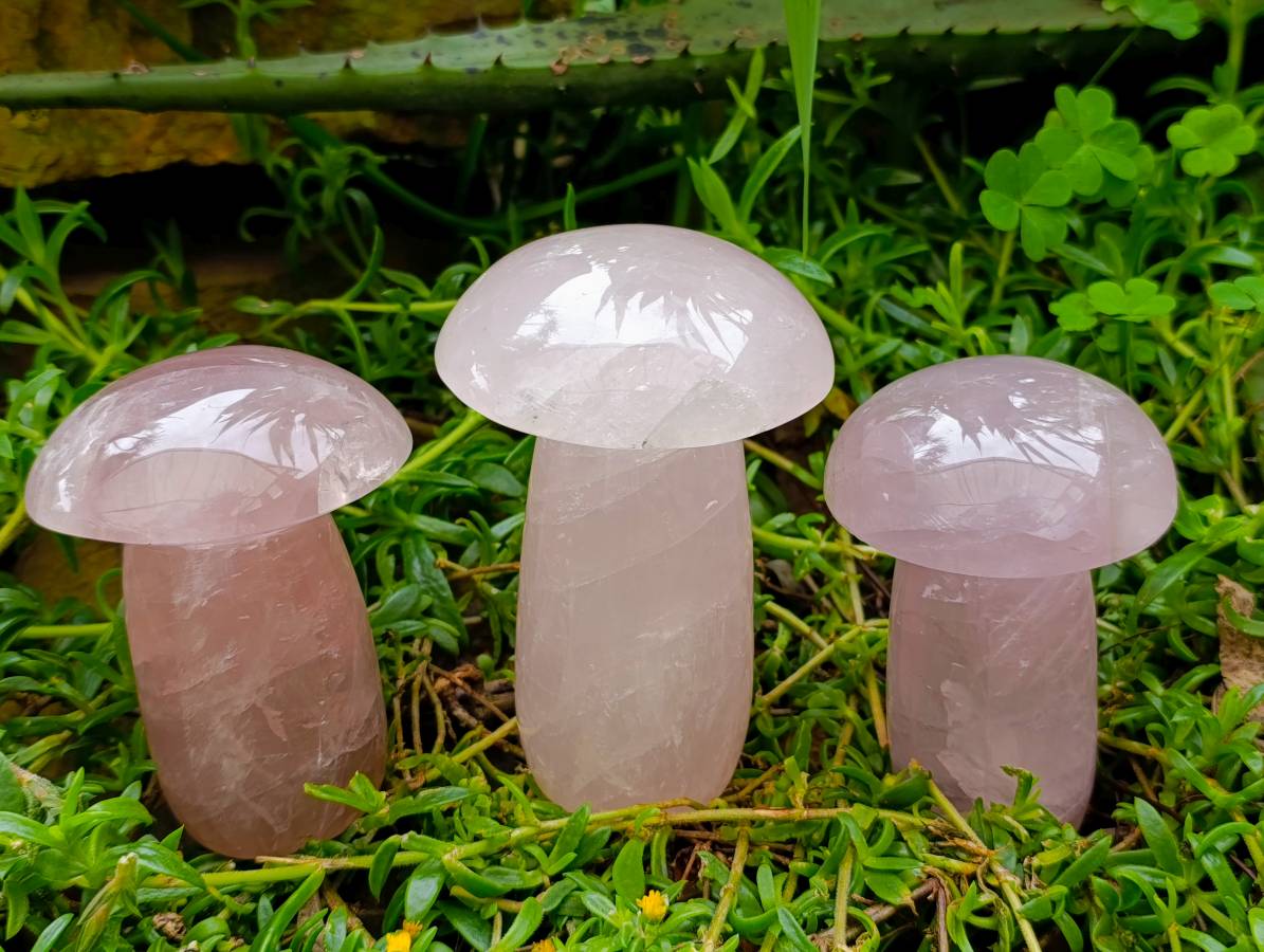 Polished Large Rose Quartz Mushrooms x 3 From Madagascar - Toprock Gemstones and Minerals 