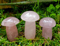 Polished Large Rose Quartz Mushrooms x 3 From Madagascar