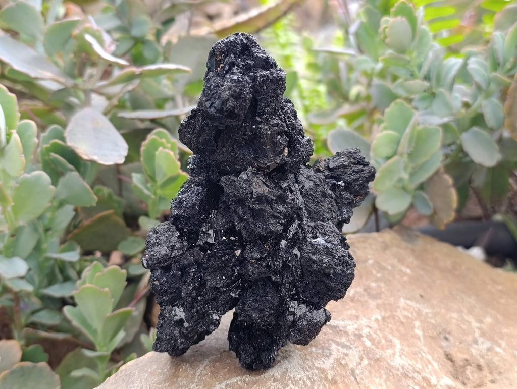 Natural Schorl Black Tourmaline Specimens x 2 From Erongo, Namibia - Toprock Gemstones and Minerals 