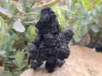 Natural Schorl Black Tourmaline Specimens x 2 From Erongo, Namibia - Toprock Gemstones and Minerals 