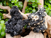 Natural Schorl Black Tourmaline Specimens x 2 From Erongo, Namibia