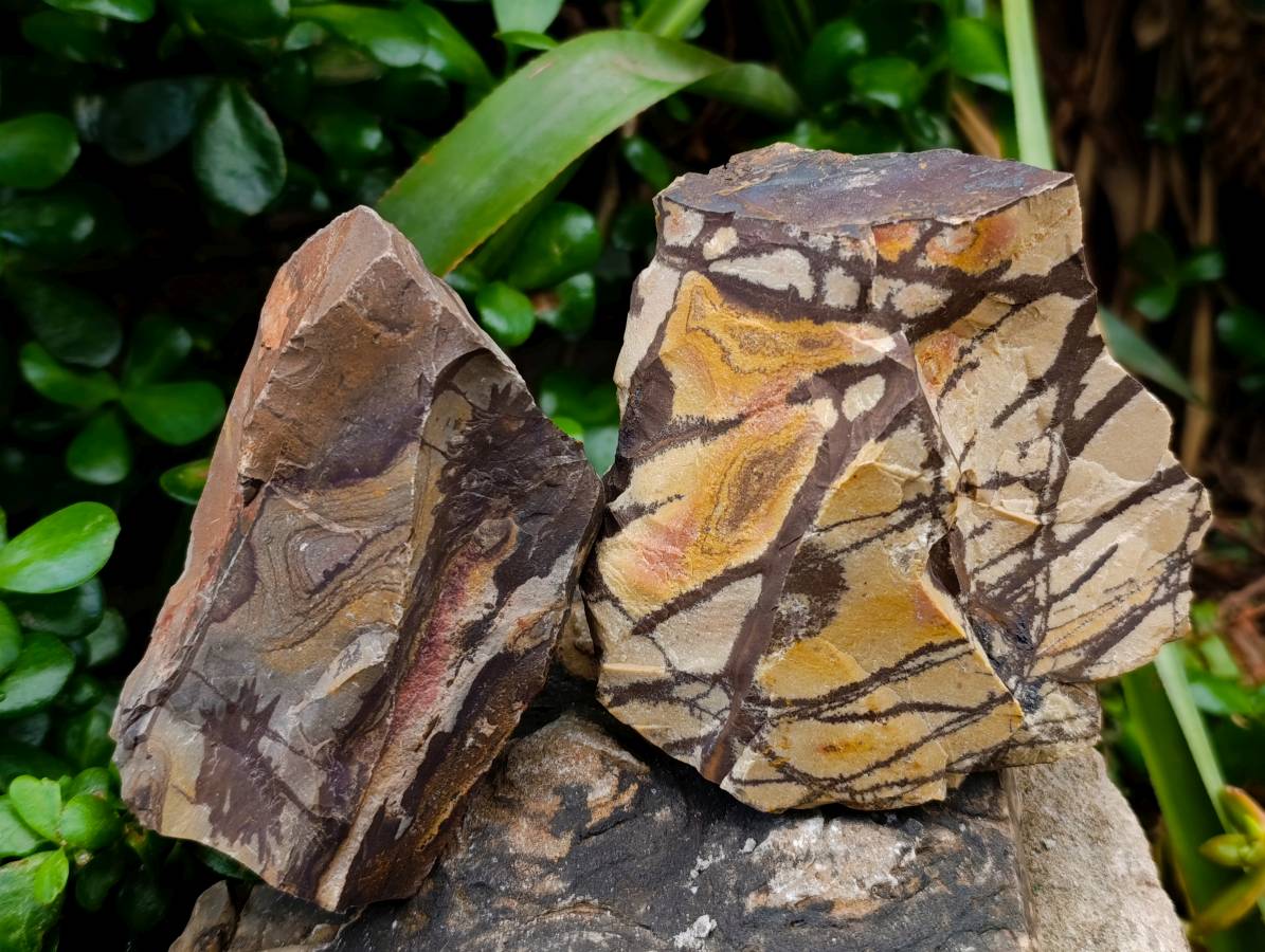 Natural Nguni Jasper Cobbed Specimens x 6 From Northern Cape, South Africa - Toprock Gemstones and Minerals 