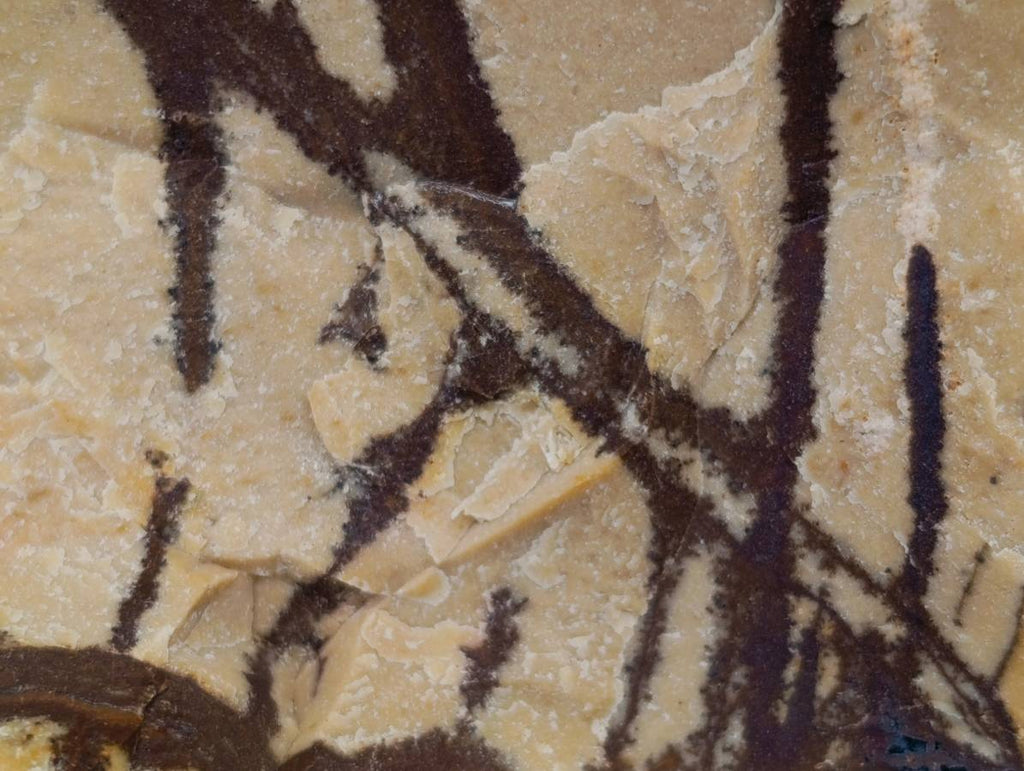 Natural Nguni Jasper Cobbed Specimens x 6 From Northern Cape, South Africa - Toprock Gemstones and Minerals 