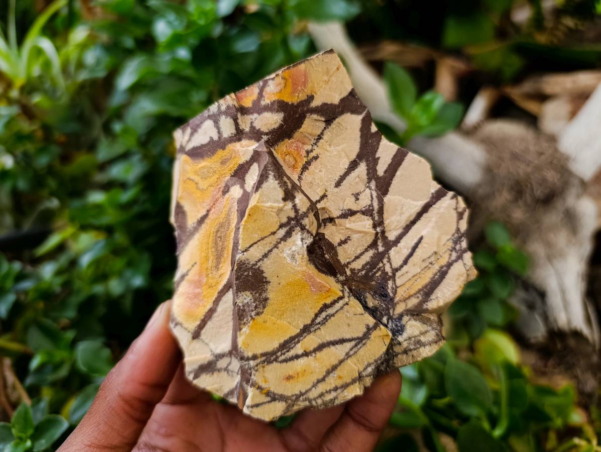 Natural Nguni Jasper Cobbed Specimens x 6 From Northern Cape, South Africa - Toprock Gemstones and Minerals 