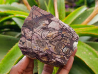 Natural Nguni Jasper Cobbed Specimens x 6 From Northern Cape, South Africa