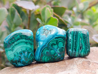 Polished Malacolla Free Forms x 35 From Kulukuluku, Congo