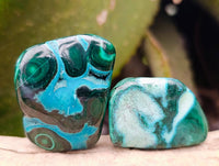 Polished Malacolla Free Forms x 35 From Kulukuluku, Congo