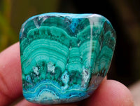 Polished Malacolla Free Forms x 35 From Kulukuluku, Congo